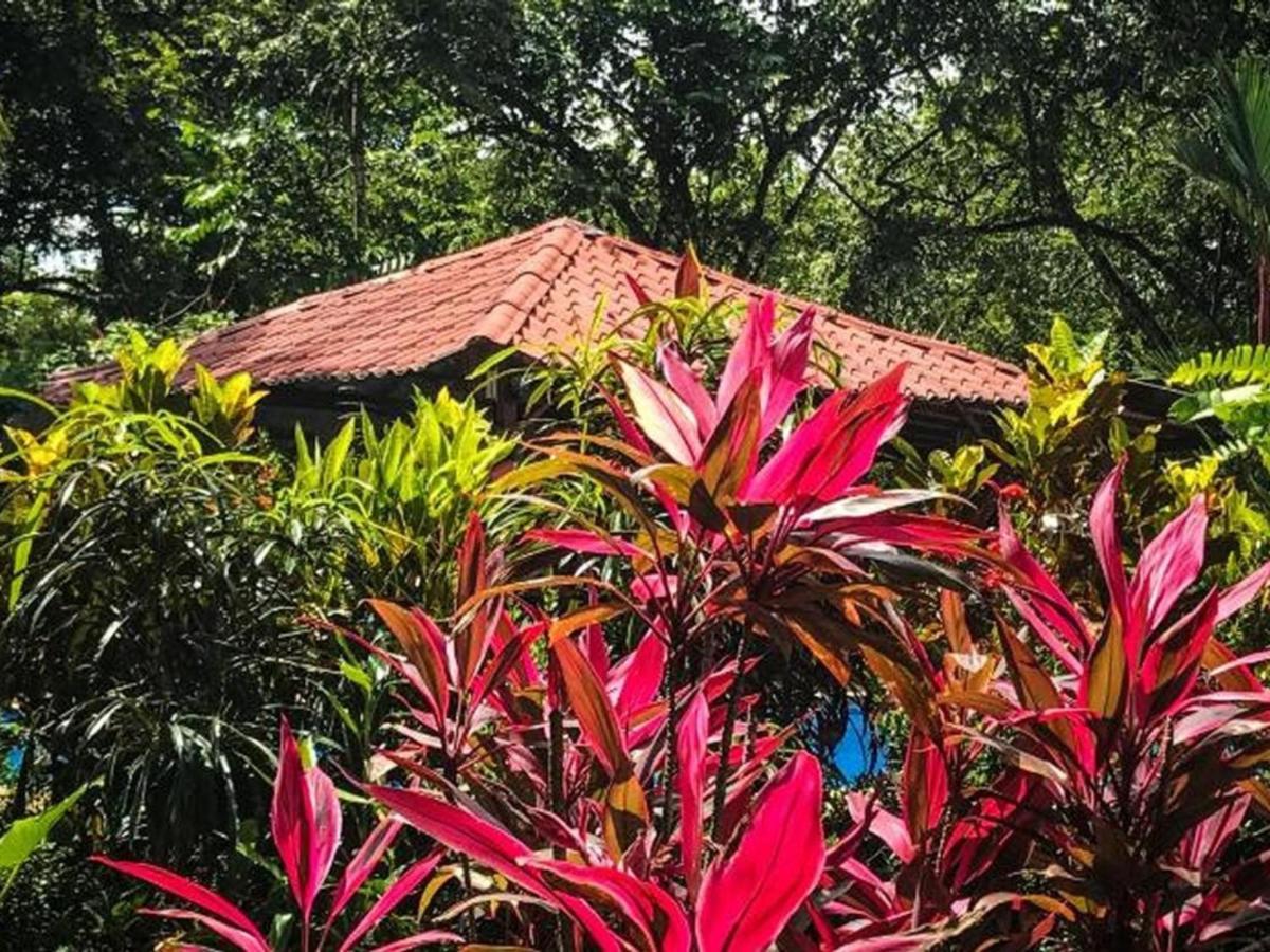 Casa Colores Montezuma Eksteriør billede