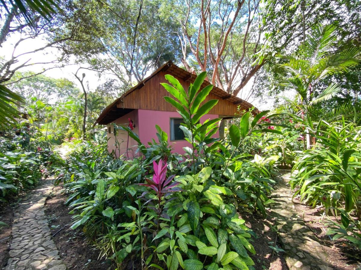 Casa Colores Montezuma Eksteriør billede