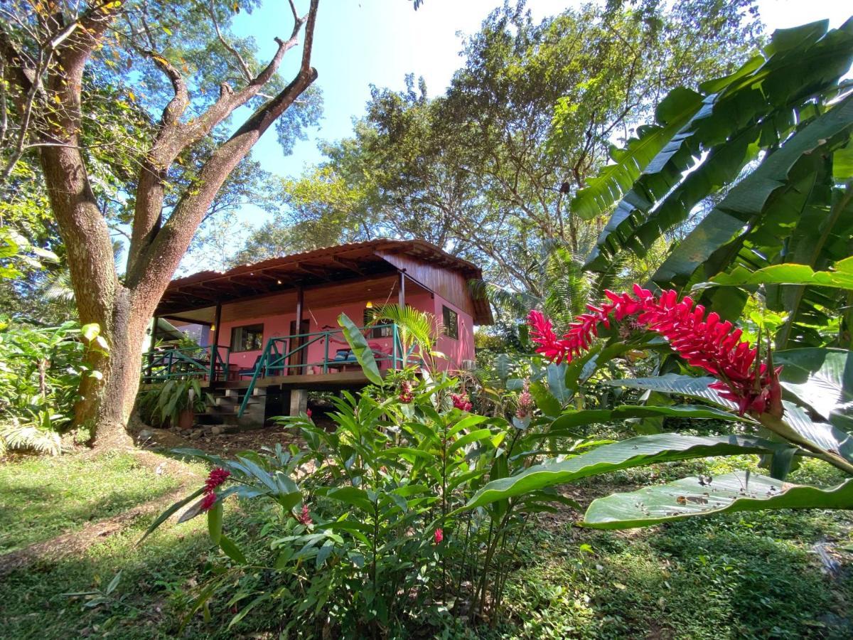 Casa Colores Montezuma Eksteriør billede