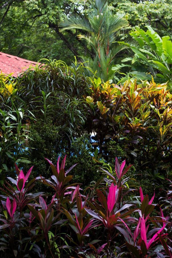Casa Colores Montezuma Eksteriør billede